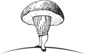 Ristorante Porcino Bildmarke des Restaurants in Alta Badia